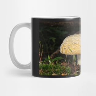 June Amanita Mug